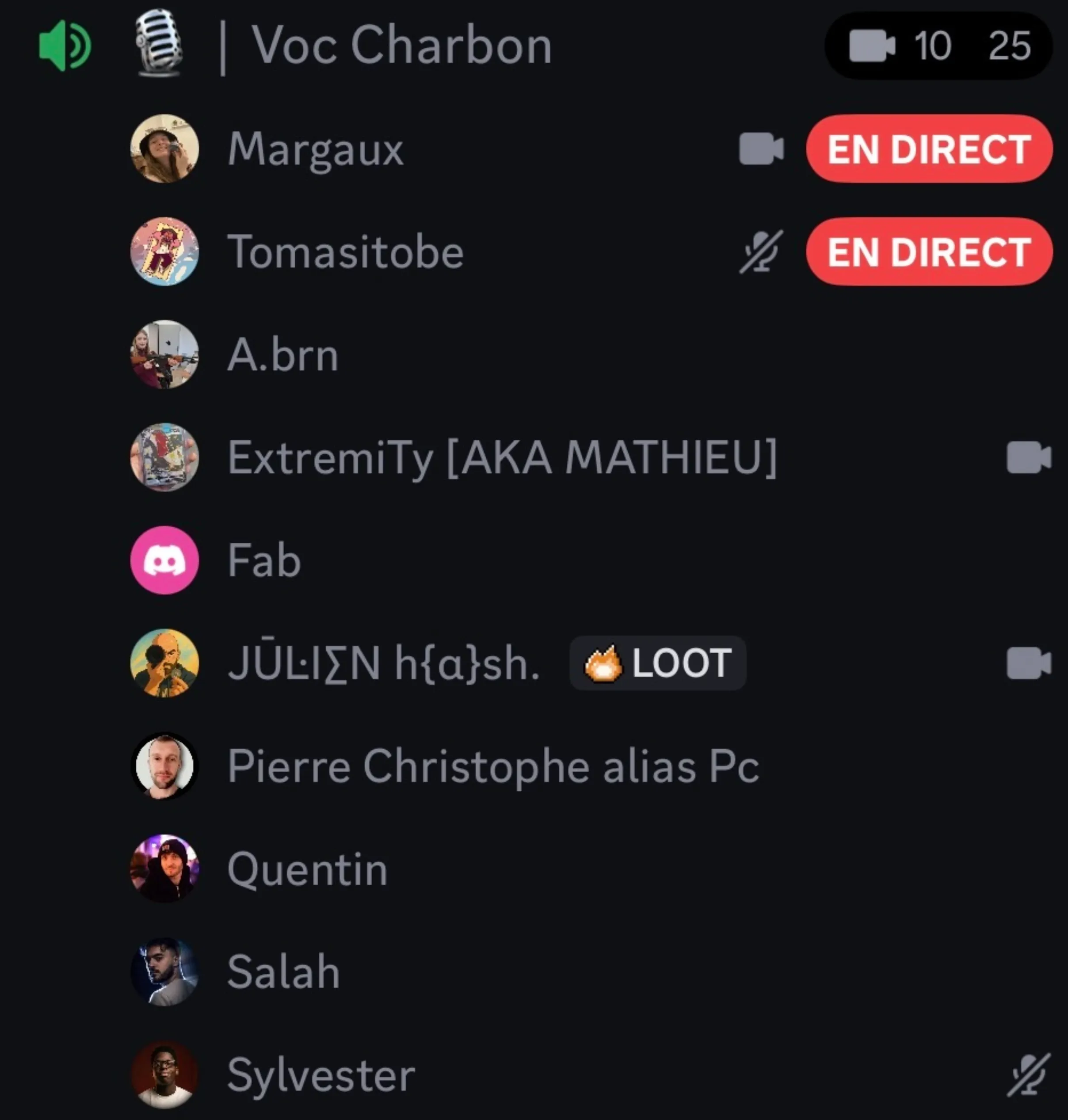 Le salon vocal Discord « Voc Charbon » de la communauté, 10 monteurs connectés, dont deux en direct
